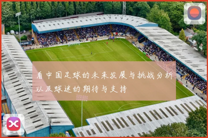 看中国足球的未来发展与挑战分析以及球迷的期待与支持