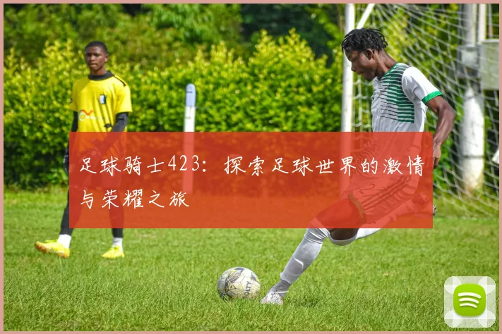 足球骑士423：探索足球世界的激情与荣耀之旅