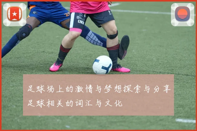 足球场上的激情与梦想探索与分享足球相关的词汇与文化