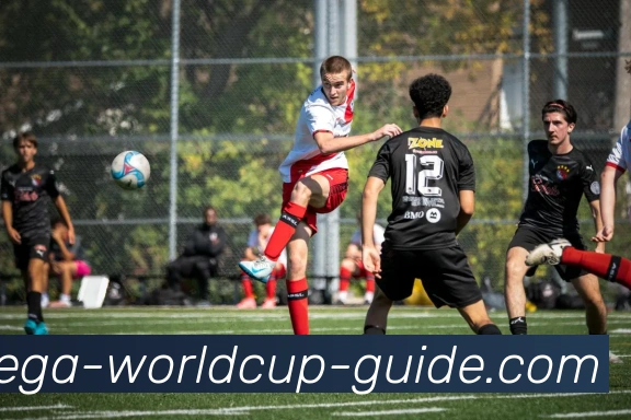 看中国足球的未来发展与挑战分析以及球迷的期待与支持